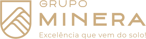 Grupo MINERA